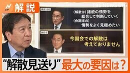 なぜ解散見送り？“絶好の機会だった”与党幹部から「見送り」惜しむ声も…最大の要因は「公明党との関係未修復」か【Nスタ解説】|TBS NEWS DIG