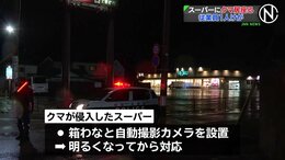 スーパーにクマ居座る 従業員1人けが、クマがわなにかかった場合も明るくなってから対応　秋田市 |TBS NEWS DIG
