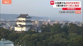 熱中症か&nbsp;神奈川・小田原市の90代女性死亡　1都3県で189人が熱中症の疑いで救急搬送|TBS NEWS DIG
