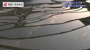茜色に染まる「鏡」の絶景　一日わずか数十分…約400枚の棚田が織り成す造形美　長崎県松浦市「土谷棚田」【ふるさと再発見・長崎ばーどアイ】　|　長崎のニュース | 天気 | NBC長崎放送