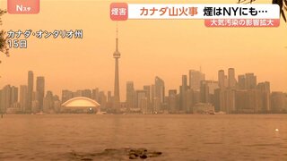 カナダで山火事160件超　街は煙でオレンジに…トロントなどで“大気汚染警報”　危険度は最高の「10+」　隣接の米NYでも注意報| TBS CROSS DIG with Bloomberg