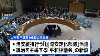 イスラム組織ハマス 安保理採択のガザ和平計画を拒否　自治政府は歓迎の意向| TBS CROSS DIG with Bloomberg