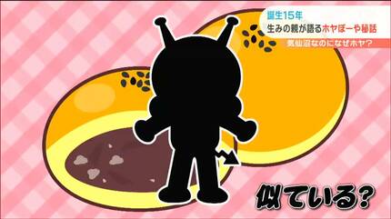 生誕15年ホヤぼーや「なぜホヤだった？」作者に聞いてみた