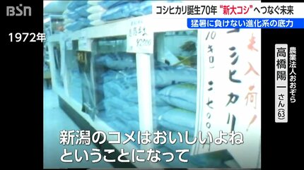 コシヒカリ誕生から70年 ”次世代”へつなぐ未来 岐路に立つ『新潟の米