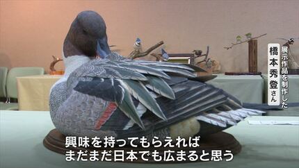 本物そっくり！ 実寸大の野鳥の彫刻など約100点 バードカービングの