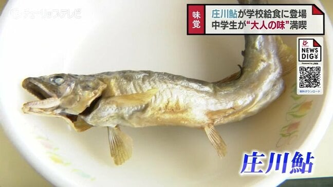 庄川鮎をパクリ!地元食文化への理解を育む 砺波の給食で振る舞われた“大人の味”に生徒も舌鼓 |TBS NEWS DIG