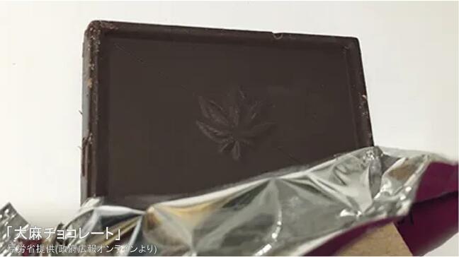 「ヤサイ」「ブロッコリー」が隠語→″大麻″ 改正法で使用も禁止、最長7年の懲役刑 県内初の逮捕者|TBS NEWS DIG
