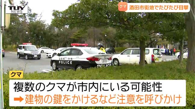【動画】市街地で複数のクマが行動か...酒田市の中心部でクマ目撃相次ぐ 公園や小学校近くでも(山形)|TBS NEWS DIG