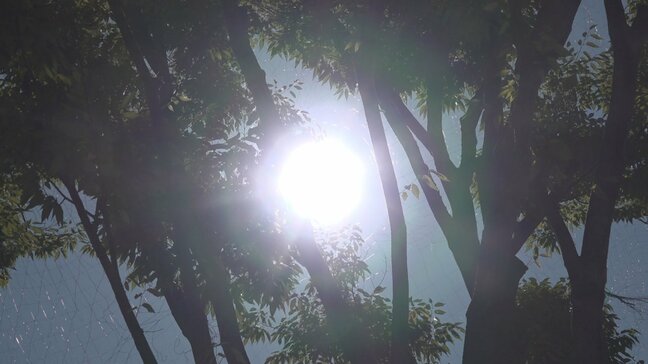 厳しい残暑　勝沼は全国1番の38.5度　5地点で9月の最高気温を更新　一方夜遅くにかけ雷を伴った激しい雨に注意　山梨|TBS NEWS DIG