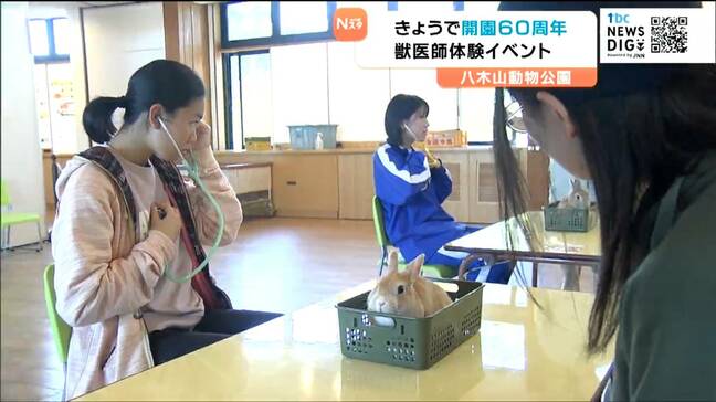 獣医のお仕事体験会に中高生が参加 八木山動物公園の開園60周年イベント 仙台|TBS NEWS DIG
