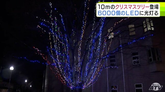 高さ10mのケヤキの木で学校に巨大クリスマスツリー 6000個のLED・ハンドベルと聖歌で一足早くクリスマス気分 青森市|TBS NEWS DIG