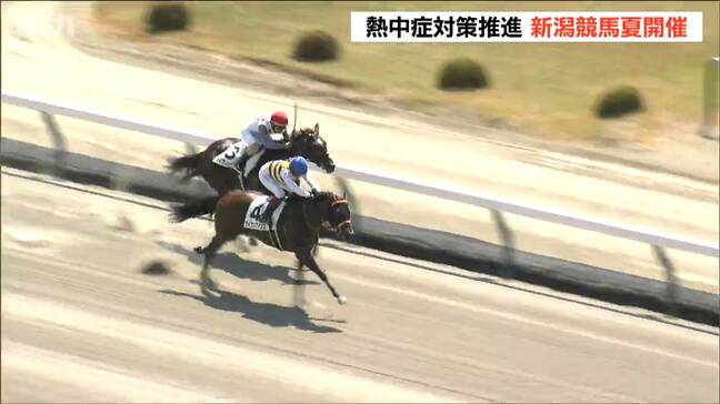 夏の新潟競馬スタート　熱中症対策強化し「競走時間帯の拡大」4週間に|TBS NEWS DIG