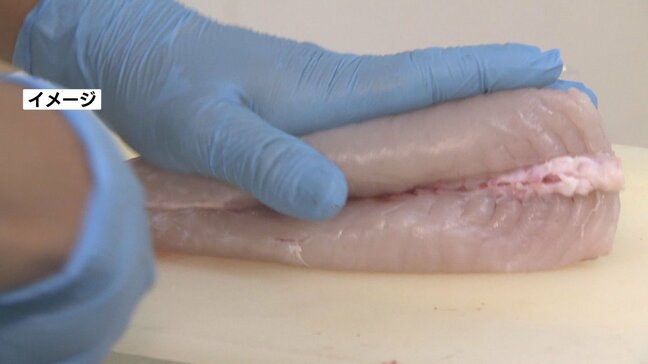 釣り上げたフグを家庭で調理…母娘が食中毒 熊本県で8年ぶり〝フグ毒は青酸カリの数百倍〟|TBS NEWS DIG