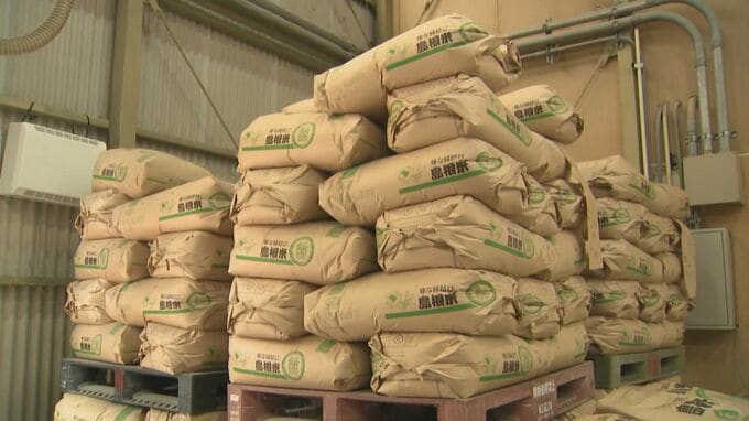 「新米」本格的に店頭へ　生産現場を訪ねると…進む高温障害に強い”品種転換”「量については昨年よりも良かった」|TBS NEWS DIG