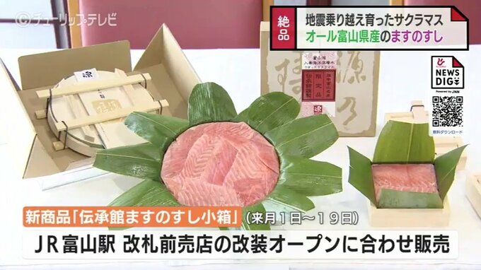 海のミネラルたっぷり…深層水で育ったサクラマスを贅沢に使用した「伝承館ますのすし」2月14日から期間限定で販売　富山　|TBS NEWS DIG