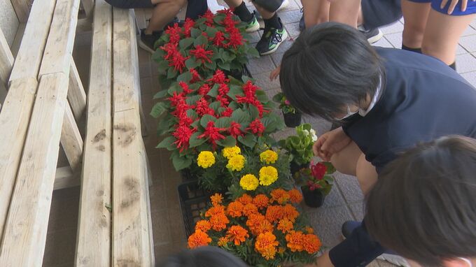 “人権の花運動”「1日頑張ろうと思えるよう育てたい」児童が命を大切にする心育む　|　石川県のニュース｜MRO北陸放送