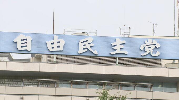 【速報】自民党、参院選の候補者に選挙運動の取り止めを要請　安倍元総理銃撃受け|TBS NEWS DIG