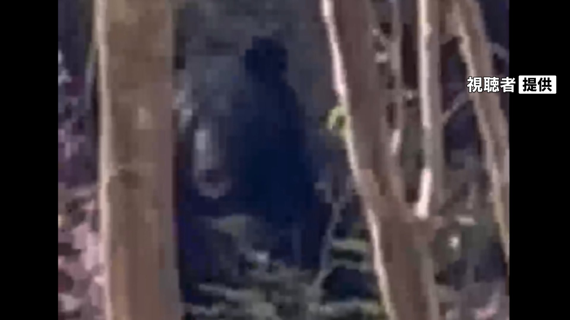 動画あり】渓流釣り中に“獣臭”目の前にクマが…「クマァー」と叫ぶと