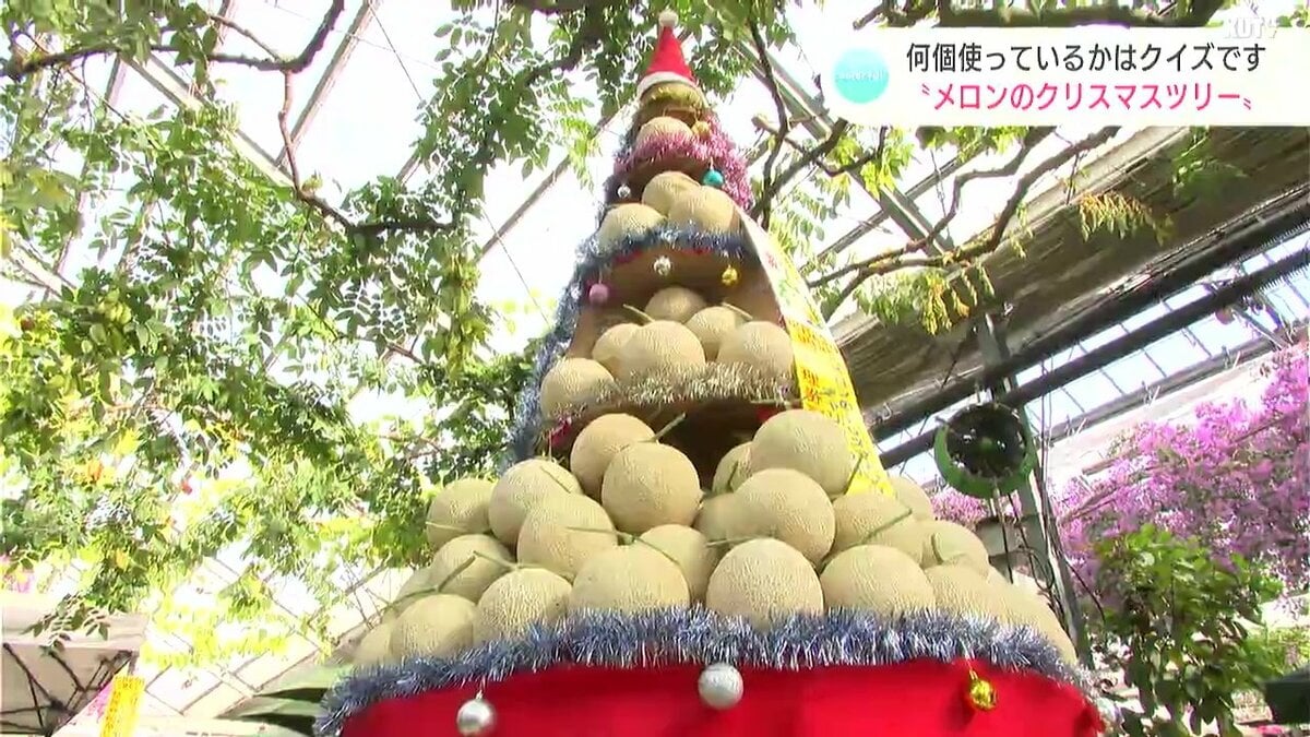 メロンはいくつ使ってる？高さ2.5メートルの「メロンのクリスマス