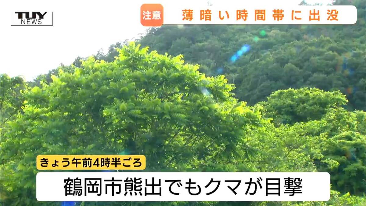 きょうも朝早くから目撃相次ぐ クマが活発に動く早朝や夕方など特に