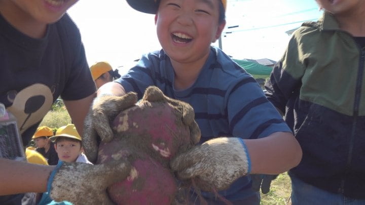 「おしりだ！」「メガネ」　小学生と地域住民がサツマイモ収穫　様々な形に子どもたちから歓声　山梨・笛吹市