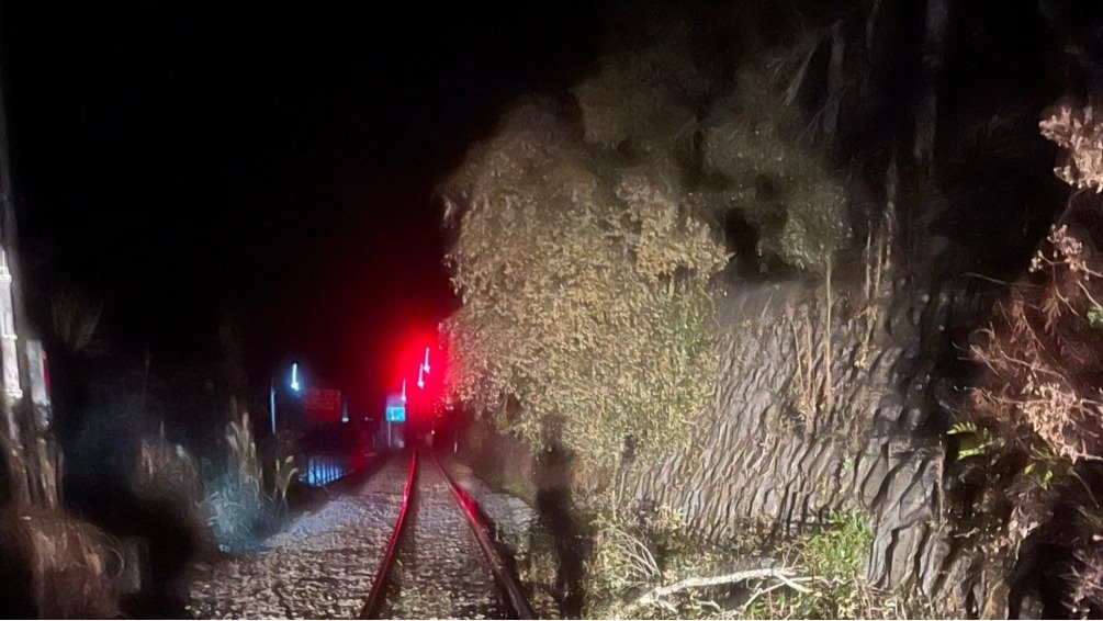 JR土讃線、運転再開　普通列車が長さ20m・直径50cmの倒木に接触、乗員1人だけ乗車でケガなし　20日～21日で特急「南風」計4本が部分運休（21日0時更新）