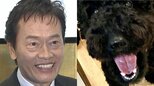 【 いぬ 】遠藤憲一さんの愛犬クロミ「観察してると楽しい」　ソファ占領＆クッション破壊にフォロワー「うちもかじります」|TBS NEWS DIG