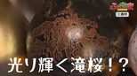 光り輝く『三春滝桜』 その正体とは? | 福島のニュース│TUF