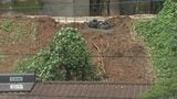 記録的大雨の爪痕明らかに 線路や住宅に土砂流入、床上・床下浸水12棟 対応追われる 大分 | 大分のニュース|OBS NEWS|大分放送