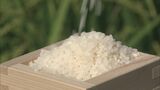 コメの平均価格5キロ4197円　12週連続で高値を更新　備蓄米の放出発表後も値上がり止まらず|TBS NEWS DIG