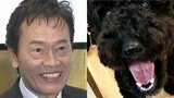 【 いぬ 】遠藤憲一さんの愛犬クロミ「観察してると楽しい」　ソファ占領＆クッション破壊にフォロワー「うちもかじります」|TBS NEWS DIG