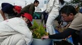 酒粕が堆肥に生まれ変わる!高砂酒造と旭川農業高がタッグ…酒樽の鉢に20種類の花を植え「旭川にもっと花をプロジェクト」始動|TBS NEWS DIG