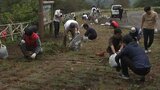 紅葉の時期を前に名所をお掃除 奉仕団体が岩山公園の環境美化活動 岩手・盛岡市|TBS NEWS DIG