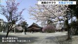 サクラ満開の富山市内 日中は汗ばむ陽気に 午後からは下り坂で雷雨も | 富山のニュース|天気・防災|チューリップテレビ