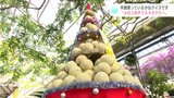メロンはいくつ使ってる?高さ2.5メートルの「メロンのクリスマスツリー」今年も登場 正解者にはメロンのプレゼントも|TBS NEWS DIG