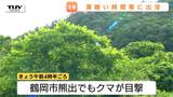 きょうも朝早くから目撃相次ぐ クマが活発に動く早朝や夕方など特に注意(山形) | 山形のニュース│TUYテレビユー山形