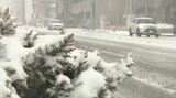 【大雪情報】長野県中部・南部に大雪警報…10日夜遅くにかけ大雪に警戒、国道19号・20号一部区間で通行止め|TBS NEWS DIG