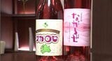 長野市の新作ロゼワイン「ナガロゼ」が完成！信州新町・篠ノ井・若穂・信更4エリアのブドウをブレンドして醸造　27日から市内の酒店で限定販売|TBS NEWS DIG