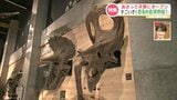 いよいよ開館!国内初発見「ティラノサウルス科の化石」と会える!“船で行く”『恐竜の島博物館』の魅力 熊本・御所浦 | 熊本のニュース|RKK NEWS|RKK熊本放送