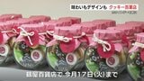 個性で勝負！「クッキー百菓店」始まる　贈り物にも、自分へのご褒美にも　熊本市・鶴屋百貨店|TBS NEWS DIG
