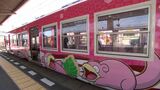 “ことでん”と“ポケモン”が初コラボ 外観のラッピングに車内に「ヤドン」だらけの “ヤドン号” 出発進行【香川】|TBS NEWS DIG