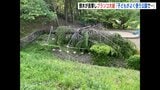倒木が直撃しブランコ大破 「子どもがよく使う公園で…」 市民からは以前に対策求める声が寄せられるも　広島【動画ニュース】　|　RCC NEWS | 広島ニュース | RCC中国放送