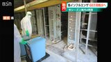 高病原性鳥インフル確定 68万羽を24時間態勢で処分へ 新潟・胎内市 | 新潟のニュース・天気|BSN NEWS|BSN新潟放送