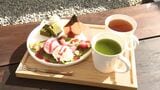 静岡で「ヌン活」!「するがヌーン茶」が32店舗でスタート 抹茶ブームで煎茶は“高騰”...お茶の魅力再発見へ|TBS NEWS DIG