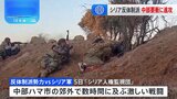 シリア反体制派勢力が中部重要都市に進攻　アサド政権打撃で戦闘激化の懸念高まる|TBS NEWS DIG