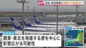 【交通への影響】ANAは羽田・成田発着の58便欠航、JALは成田と伊丹・中部結ぶ便で計4便欠航【台風15号】|TBS NEWS DIG