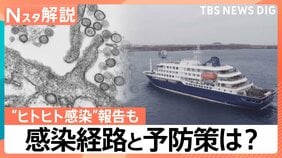ハンタウイルスで唯一“ヒトヒト感染”報告も…「アンデス株」の感染経路と予防策は？【Nスタ解説】|TBS NEWS DIG