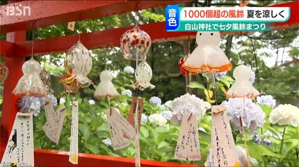 1000個以上の風鈴の音で涼やかに…白山神社で『七夕風鈴まつり』「照明