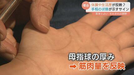 手相が変わる」ってホント？ 運勢をみるだけじゃない！手相が示す健康