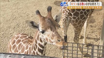 きりんさま確認用
